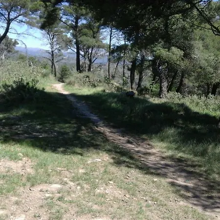La Porta Verde *